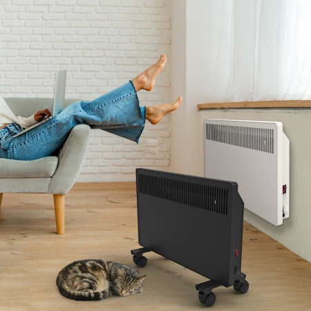 Фото Конвектор РЭМО СБ-1000.1 W на polka39.ru