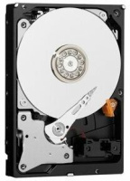 Фото Жесткий диск 10 000Gb Western Digital 256MB 7200rpm WD101PURP для систем видеонаблюдения на polka39.ru