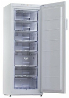 Фото Морозильная камера Snaige F27SM-T1000E на polka39.ru