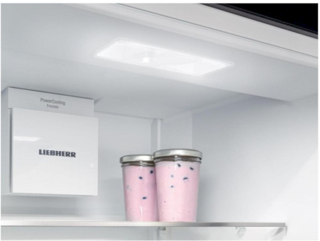 Фотография Холодильник Liebherr CNd 5203 на polka39.ru