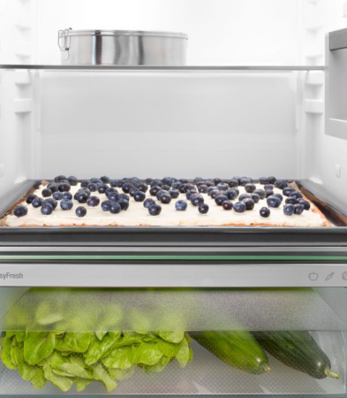 Фотография Холодильник Liebherr IRd 5100 Pure с EasyFresh на polka39.ru