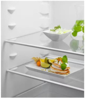 Фотография Холодильник Electrolux ENT6NE18S 600 TwinTech на polka39.ru